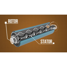 Japan PC Pumps Nvl Rotor and Stator for Food Industry